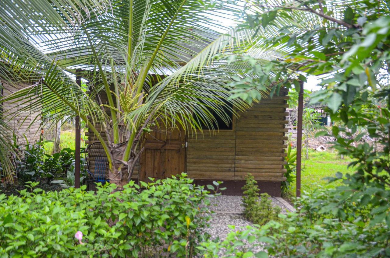 Hospedaje Y Alojamiento Cabanas Don Beto La Palma Экстерьер фото
